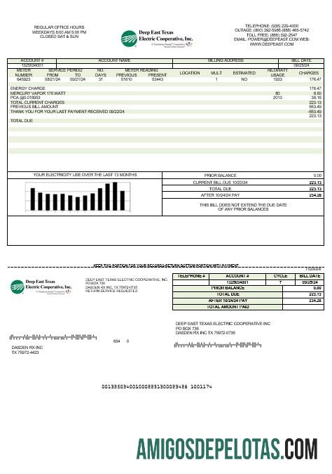Para baixar modelo de conta de serviços públicos elétricos do Deep East Texas dos EUA em formatos Word e PDF